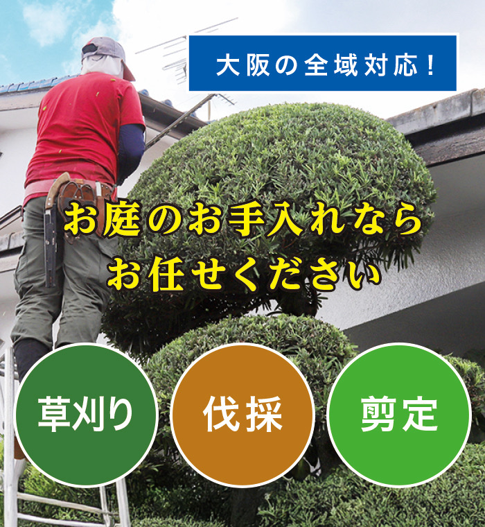 大東市で草刈り・剪定・伐採なら「お庭の大将」 大東市で草刈り・剪定・伐採なら「お庭の大将」